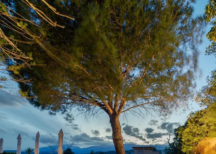 Chateau Di Cardiccia A Luxury 7-bedroom With Air Conditioning Villa